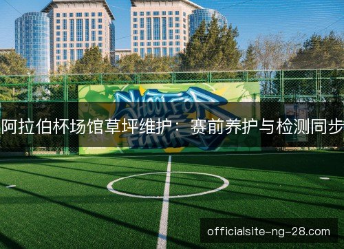 阿拉伯杯场馆草坪维护：赛前养护与检测同步